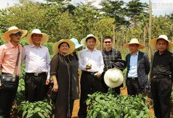 江西省政府代表團(tuán)考察中國援赤道幾內(nèi)亞示范農(nóng)場